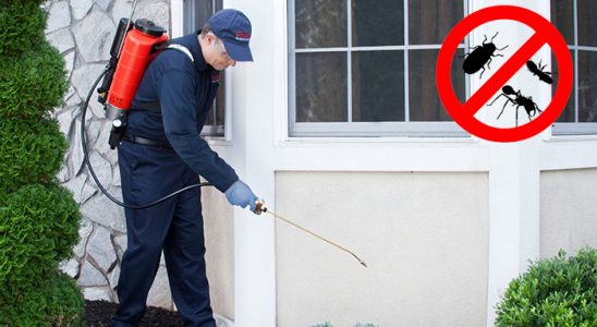 Kuluncak Hamam Böceği İlaçlama böcek ilaçlama ve haşere kontrolü — ilaclama-tr.com